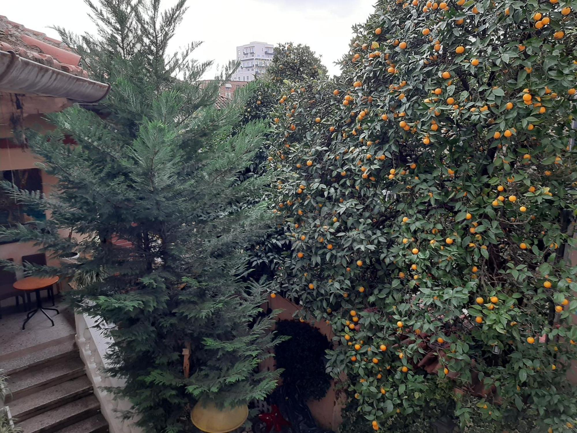 Enki'S Guesthouse Tirana Exteriér fotografie